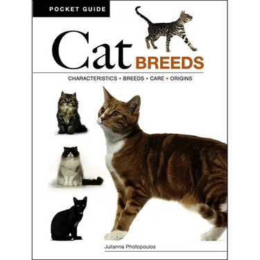 Cat Breeds: Characteristics * Breeds * Care * Origins
