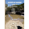 Secrets of Shadow Valley: The Beginning