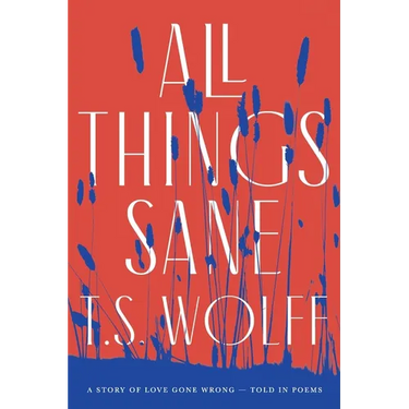All Things Sane: A Story of Love Gone Wrong - Told in Poems
