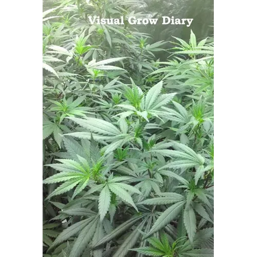 Visual Grow Diary