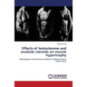 Effects of testosterone and anabolic steroids on muscle hypertrophy