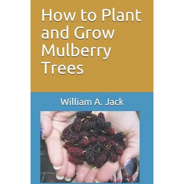 How to Plant and Grow Mulberry Trees
