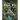 The Dragon Bone Journal: 2025 Issue