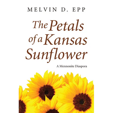 The Petals of a Kansas Sunflower