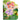 A Little Fairy