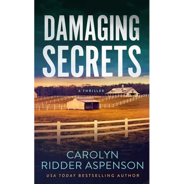 Damaging Secrets