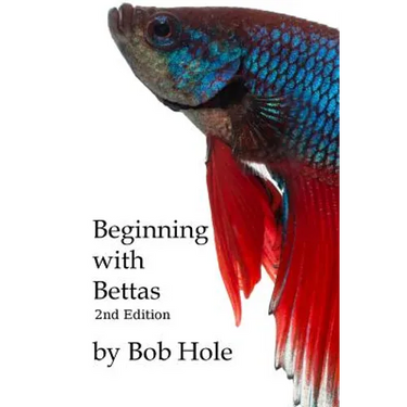 Beginning with Bettas