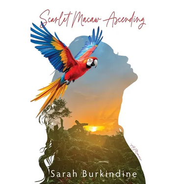 Scarlet Macaw Ascending