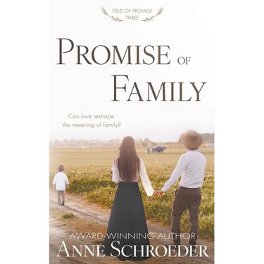 Promise of Family: A Non-Traditional Contemporary Amish Romance