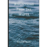 Reflections From The Water
