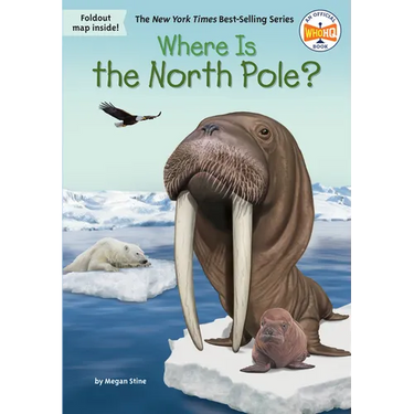 Where Is the North Pole?