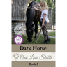 Dark Horse at Oak Lane Stable