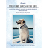 A Memoir The Furry Loves of My Life: A Lifetime Impact: Lessons Learned from My Rescued Pets
