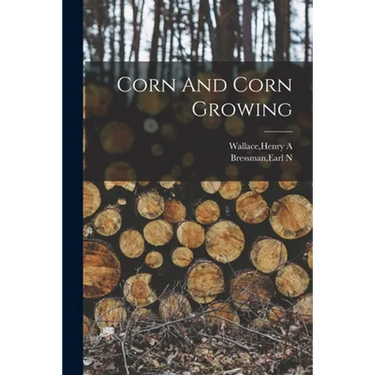 Corn And Corn Growing