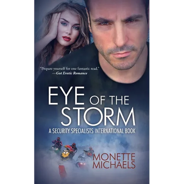 Eye of The Storm: Security Specialists International