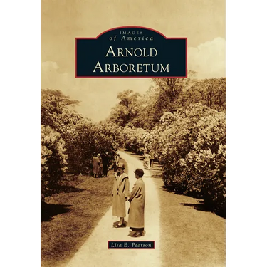 Arnold Arboretum