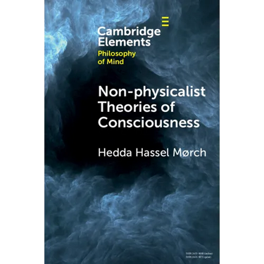 Non-physicalist Theories of Consciousness