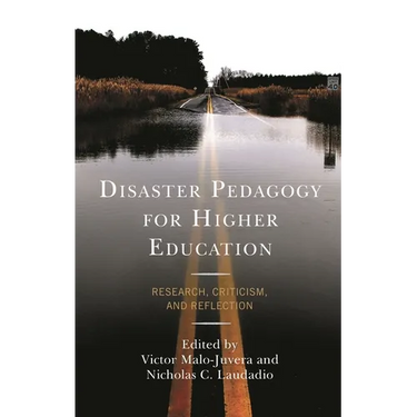 Disaster Pedagogy for Higher Education: Research, Criticism, and Reflection
