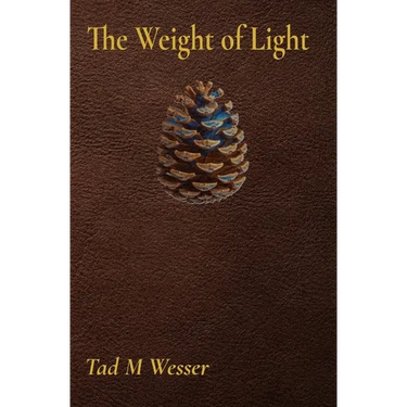 The Weight of Light
