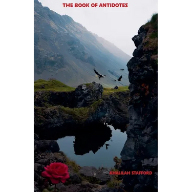 The Book of Antidotes