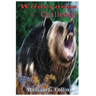 Wilderness Challenge