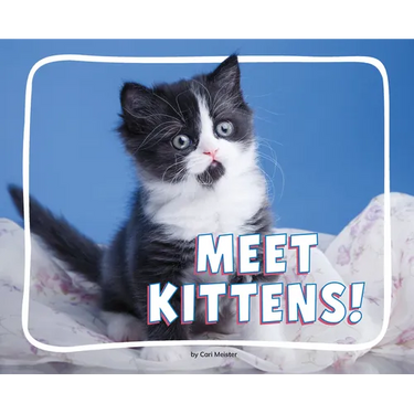 Meet Kittens!