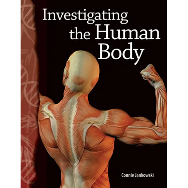Investigating the Human Body