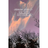 Crimson Skies and Sacred Anythings