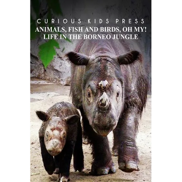 Animals, Fish and Birds, Oh My! Life In The Borneo Jungle - Curious Kids Press: Kids book about animals and wildlife, Children's books 4-6