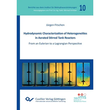 Hydrodynamic Characterization of Heterogeneities in Aerated Stirred Tank Reactors. From an Eulerian to a Lagrangian Perspective