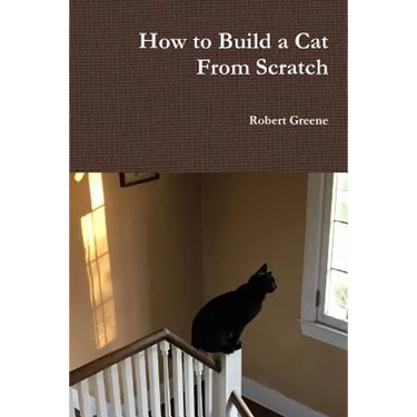 How to Build a Cat From Scratch