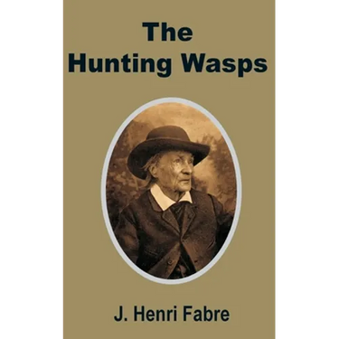 The Hunting Wasps