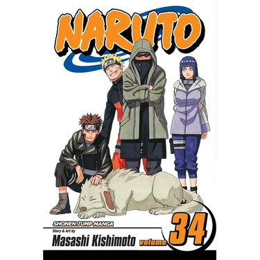 Naruto, Vol. 34: The Reunion