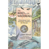 The Bird in the Waterfall: Exploring the Wonders of Water