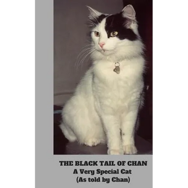The Black Tail of Chan: A Very Special Cat: (As told by Chan)