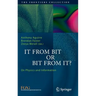It from Bit or Bit from It?: On Physics and Information
