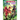 Bold and the Brave #31