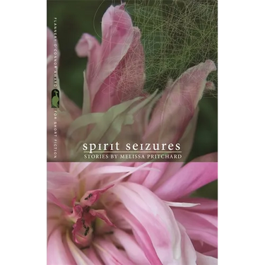 Spirit Seizures: Stories