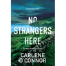 No Strangers Here: A Riveting Irish Thriller