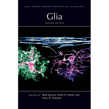 Glia, Second Edition