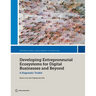 Developing Entrepreneurial Ecosystems for Digital Businesses and Beyond: A Diagnostic Toolkit