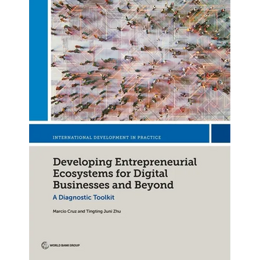 Developing Entrepreneurial Ecosystems for Digital Businesses and Beyond: A Diagnostic Toolkit
