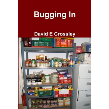 Bugging In