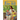 Catholic Picture Bible: Popular Stories from the Old and New Testaments