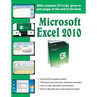 Microsoft Excel 2010
