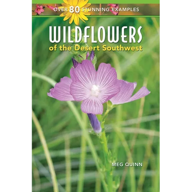 Wildflowers of the Desert Southwest