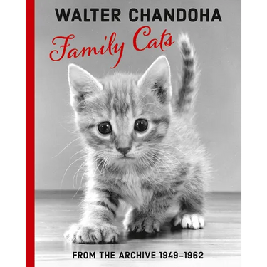 Walter Chandoha: Family Cats: From the Archive 1949-1962