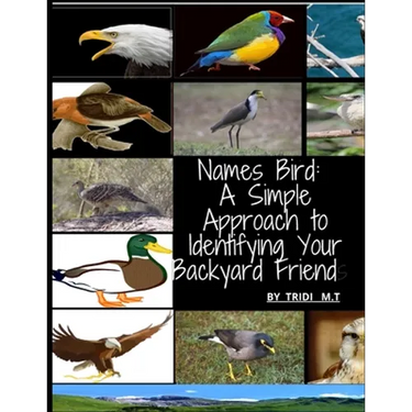 Names Bird: A Simple Approach to Identifying Your Backyard Friend