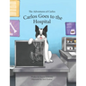 The Adventures of Carlos: Carlos Goes to the Hospital
