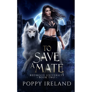 To Save a Mate: A Fated Mates Shifter Romance